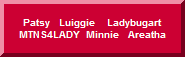 Patsy   Luiggie    Ladybugart   MTNS4LADY  Minnie   Areatha